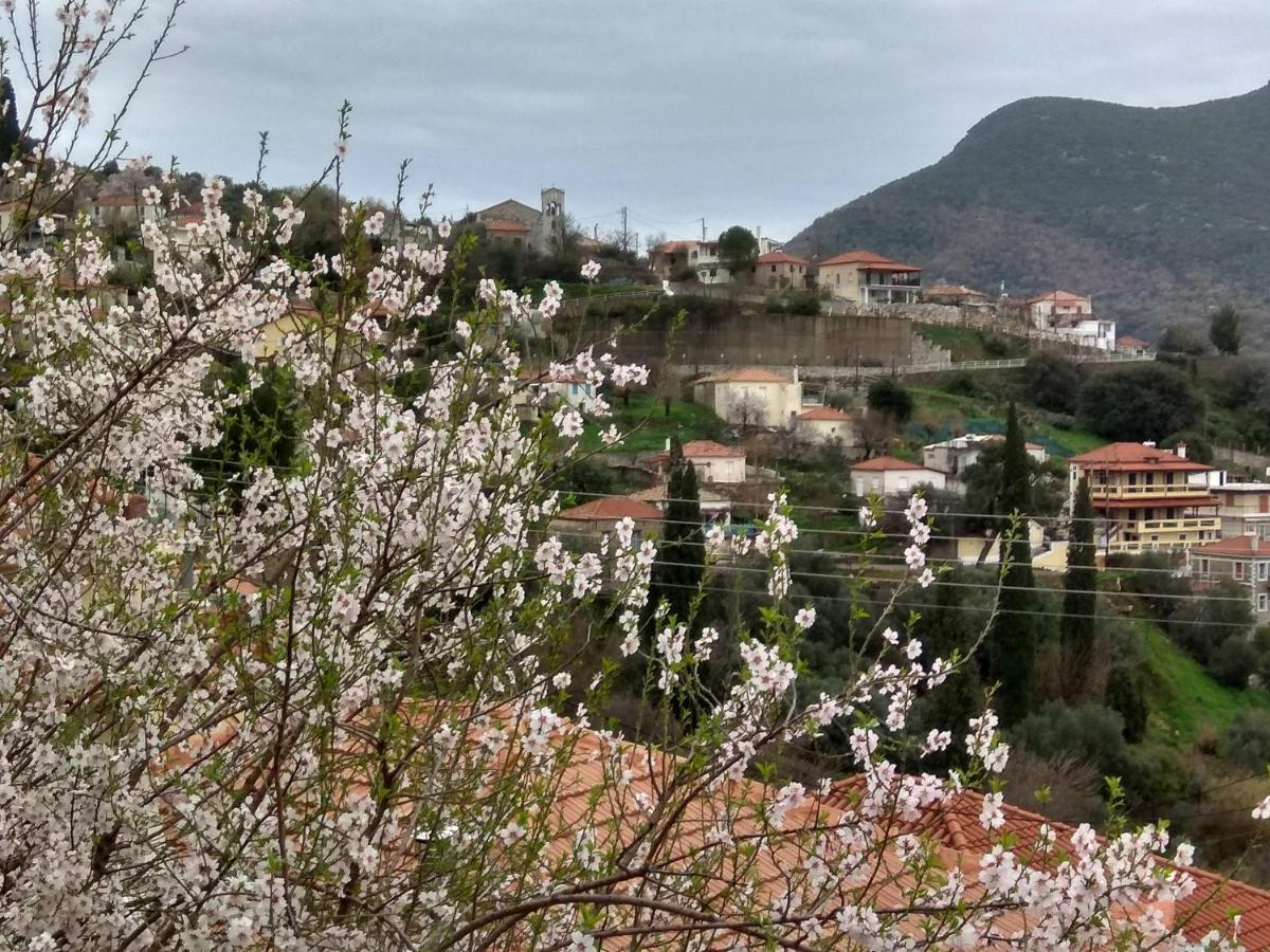 Vintage House With A Fantastic View Apartment Mavrommation Luaran gambar